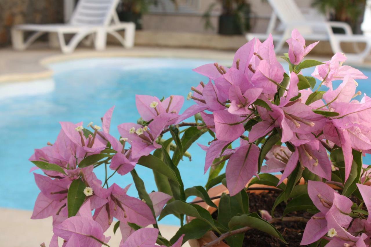 Residence Le Lotus Гранд Байе Екстериор снимка